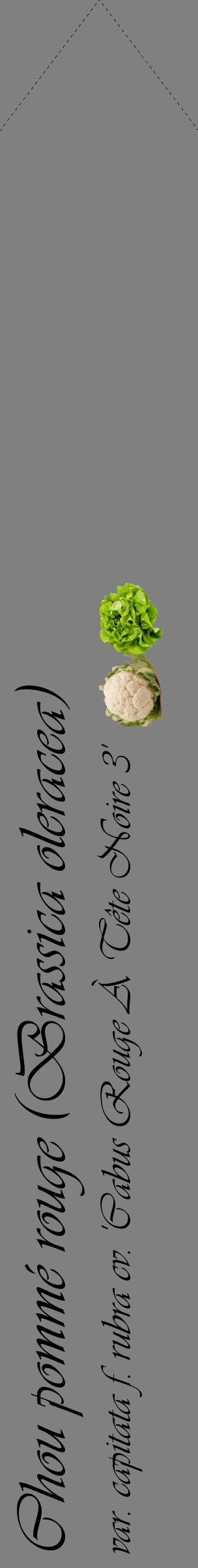 Étiquette de : Brassica oleracea var. capitata f. rubra cv. 'Cabus Rouge À Tête Noire 3' - format c - style noire57_simpleviv avec comestibilité simplifiée