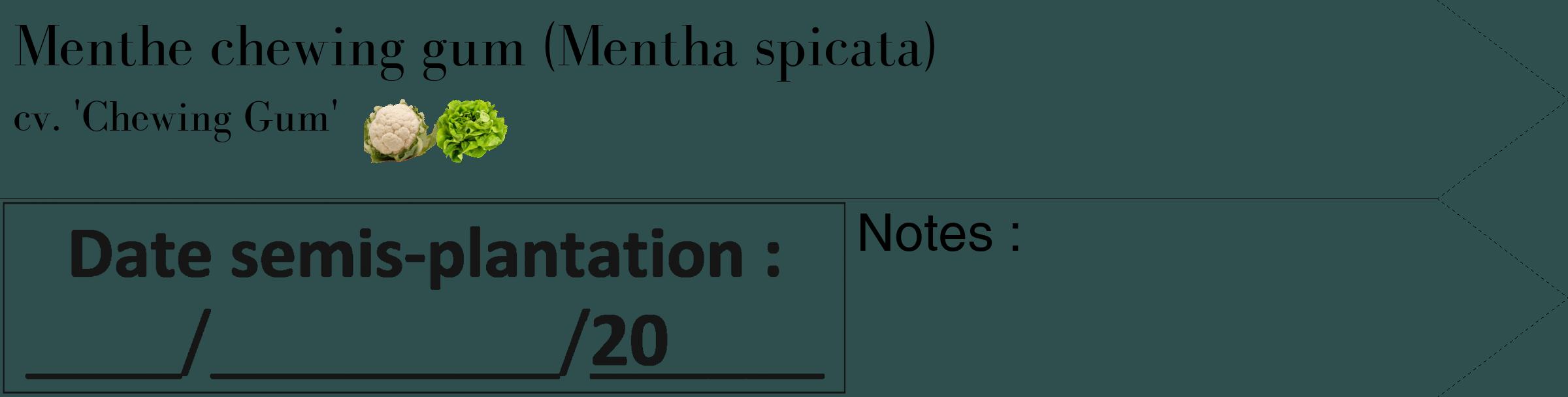 Étiquette de : Mentha spicata cv. 'Chewing Gum' - format c - style noire58_simple_simplebod avec comestibilité simplifiée