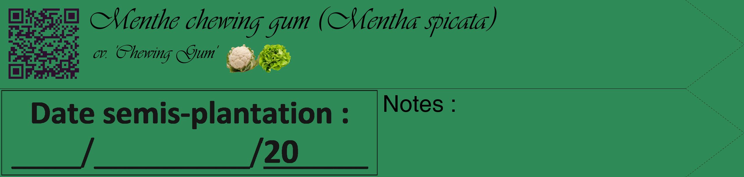 Étiquette de : Mentha spicata cv. 'Chewing Gum' - format c - style noire11_simple_simpleviv avec qrcode et comestibilité simplifiée