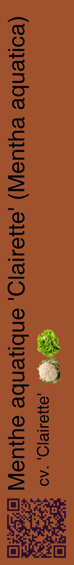 Étiquette de : Mentha aquatica cv. 'Clairette' - format c - style noire32_basiquehel avec qrcode et comestibilité simplifiée
