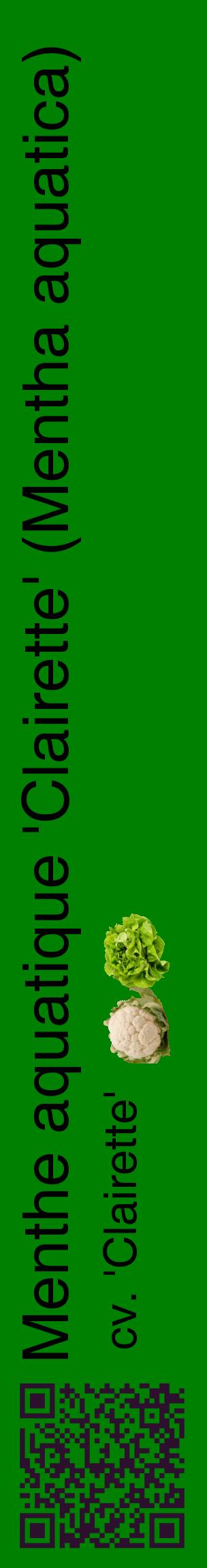 Étiquette de : Mentha aquatica cv. 'Clairette' - format c - style noire9_basiquehel avec qrcode et comestibilité simplifiée
