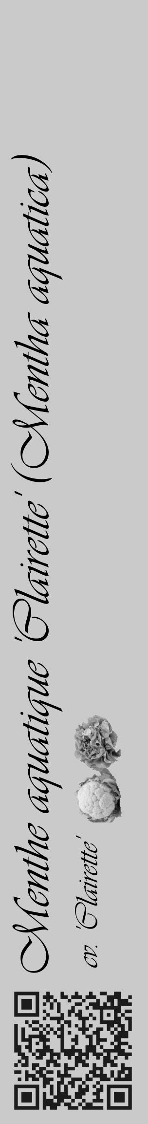Étiquette de : Mentha aquatica cv. 'Clairette' - format c - style noire21_basique_basiqueviv avec qrcode et comestibilité simplifiée - position verticale