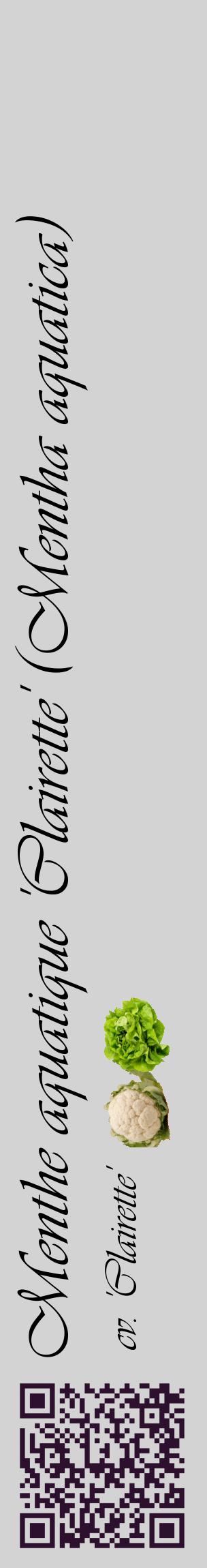 Étiquette de : Mentha aquatica cv. 'Clairette' - format c - style noire56_basiqueviv avec qrcode et comestibilité simplifiée