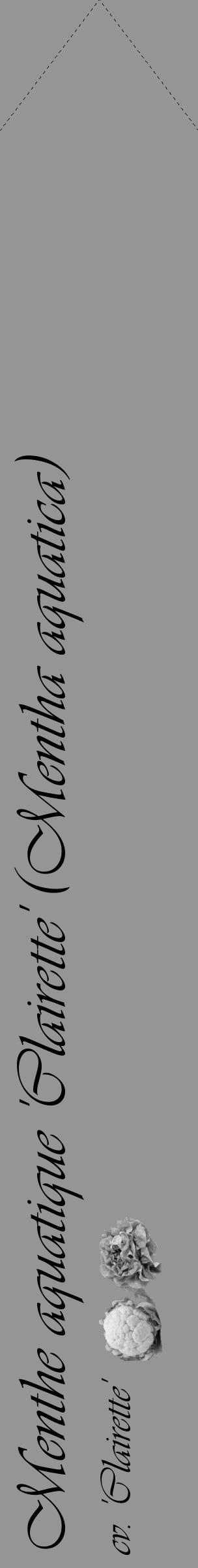 Étiquette de : Mentha aquatica cv. 'Clairette' - format c - style noire16_simple_simpleviv avec comestibilité simplifiée - position verticale