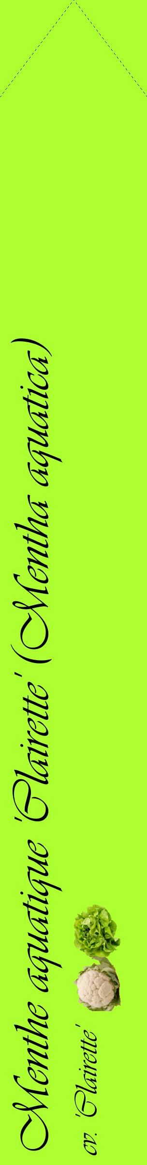 Étiquette de : Mentha aquatica cv. 'Clairette' - format c - style noire17_simpleviv avec comestibilité simplifiée