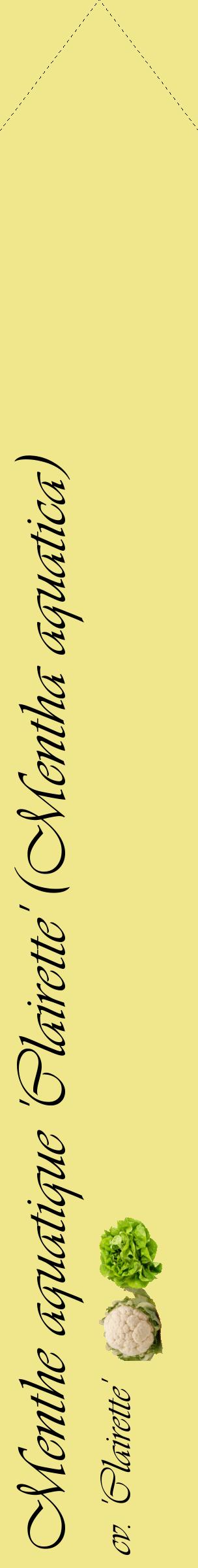 Étiquette de : Mentha aquatica cv. 'Clairette' - format c - style noire20_simpleviv avec comestibilité simplifiée
