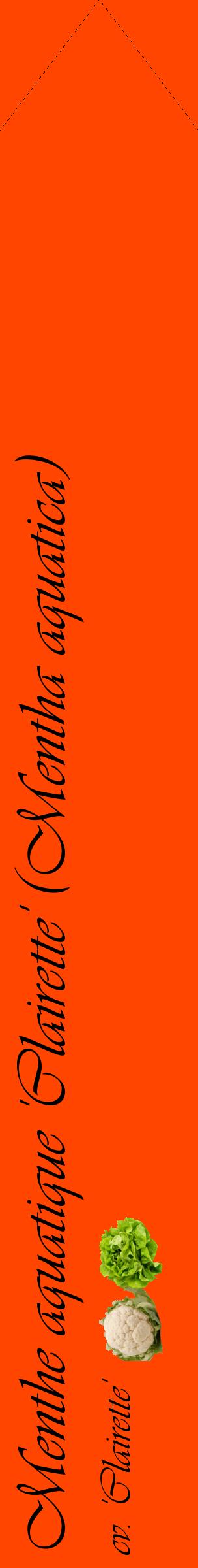 Étiquette de : Mentha aquatica cv. 'Clairette' - format c - style noire26_simpleviv avec comestibilité simplifiée