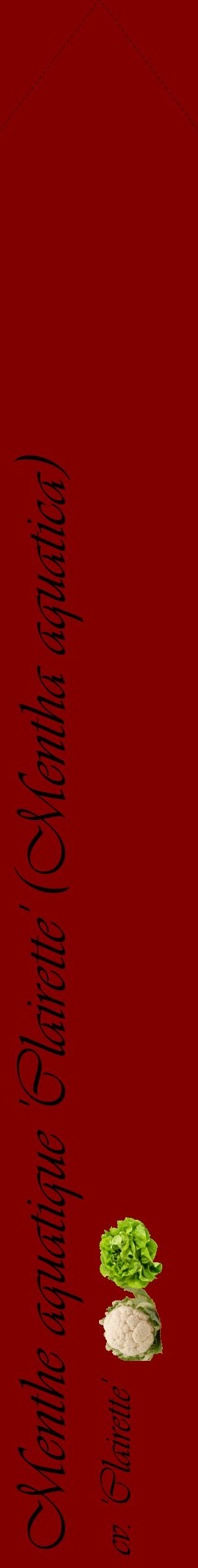 Étiquette de : Mentha aquatica cv. 'Clairette' - format c - style noire29_simpleviv avec comestibilité simplifiée