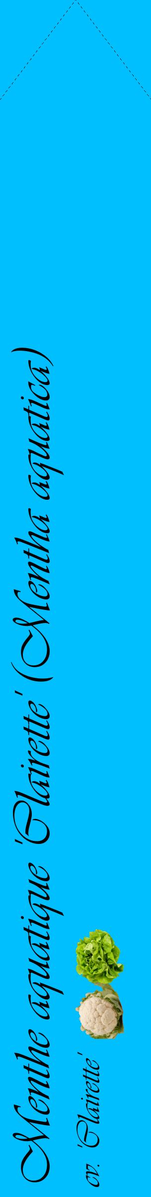 Étiquette de : Mentha aquatica cv. 'Clairette' - format c - style noire2_simpleviv avec comestibilité simplifiée
