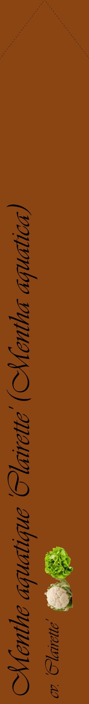 Étiquette de : Mentha aquatica cv. 'Clairette' - format c - style noire30_simpleviv avec comestibilité simplifiée