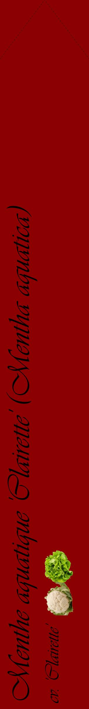 Étiquette de : Mentha aquatica cv. 'Clairette' - format c - style noire34_simpleviv avec comestibilité simplifiée