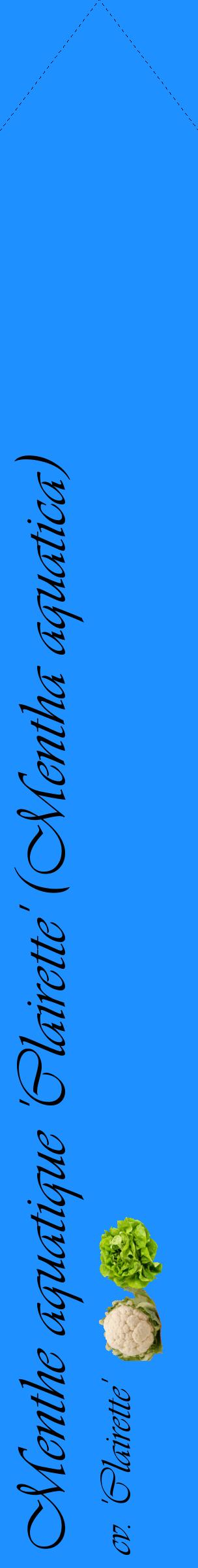 Étiquette de : Mentha aquatica cv. 'Clairette' - format c - style noire3_simpleviv avec comestibilité simplifiée