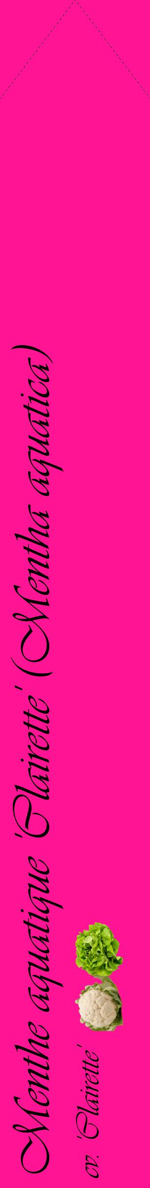 Étiquette de : Mentha aquatica cv. 'Clairette' - format c - style noire43_simpleviv avec comestibilité simplifiée