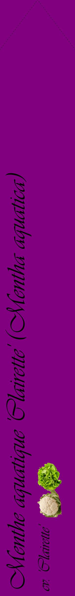 Étiquette de : Mentha aquatica cv. 'Clairette' - format c - style noire46_simpleviv avec comestibilité simplifiée