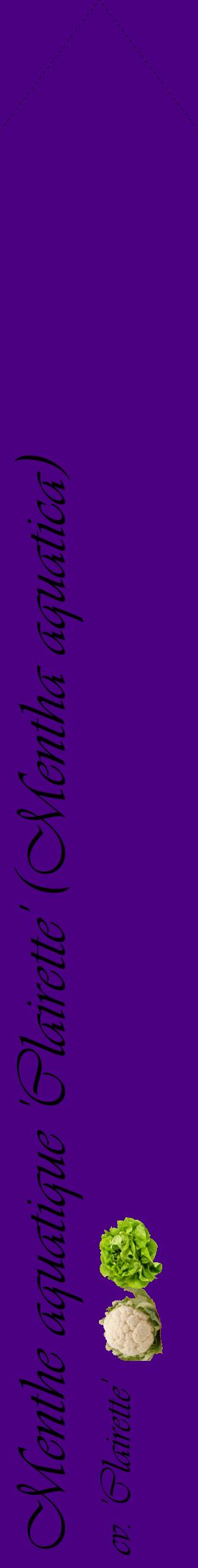 Étiquette de : Mentha aquatica cv. 'Clairette' - format c - style noire47_simpleviv avec comestibilité simplifiée