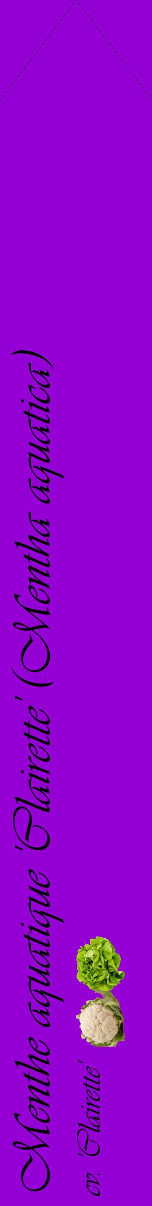 Étiquette de : Mentha aquatica cv. 'Clairette' - format c - style noire48_simpleviv avec comestibilité simplifiée