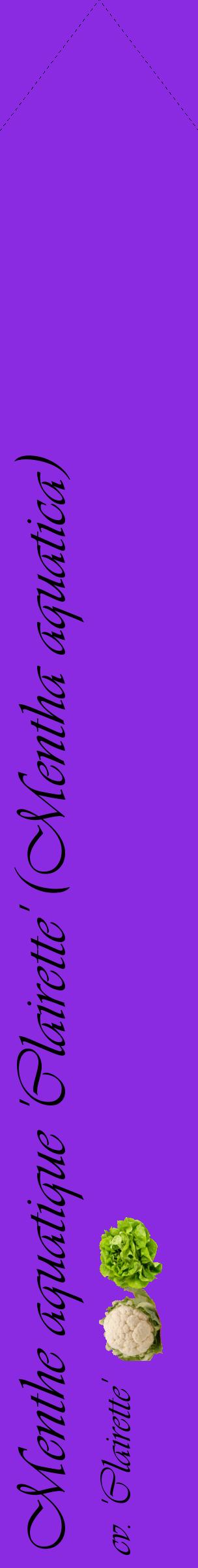 Étiquette de : Mentha aquatica cv. 'Clairette' - format c - style noire49_simpleviv avec comestibilité simplifiée