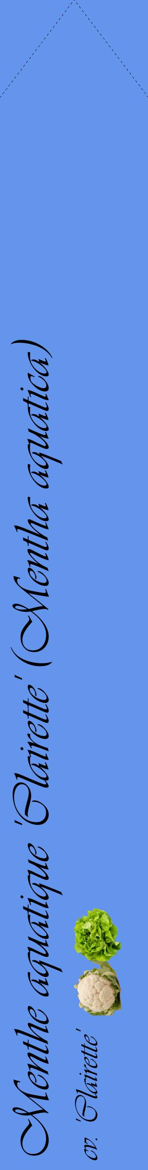 Étiquette de : Mentha aquatica cv. 'Clairette' - format c - style noire4_simpleviv avec comestibilité simplifiée