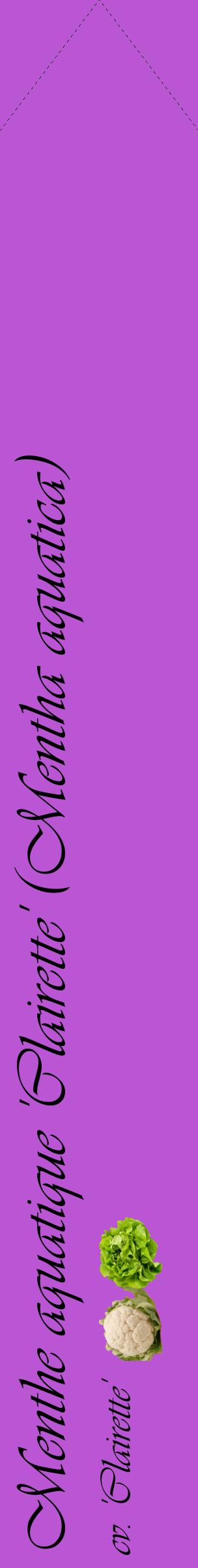Étiquette de : Mentha aquatica cv. 'Clairette' - format c - style noire50_simpleviv avec comestibilité simplifiée