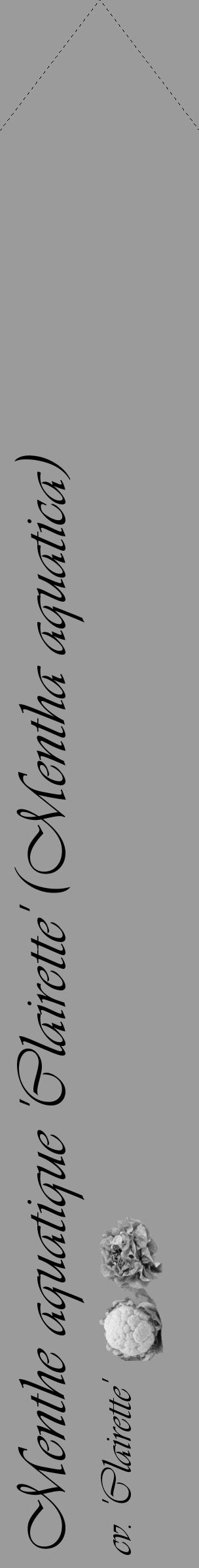Étiquette de : Mentha aquatica cv. 'Clairette' - format c - style noire52_simple_simpleviv avec comestibilité simplifiée - position verticale
