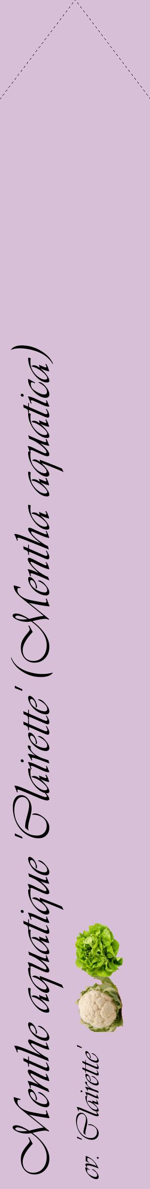 Étiquette de : Mentha aquatica cv. 'Clairette' - format c - style noire54_simpleviv avec comestibilité simplifiée