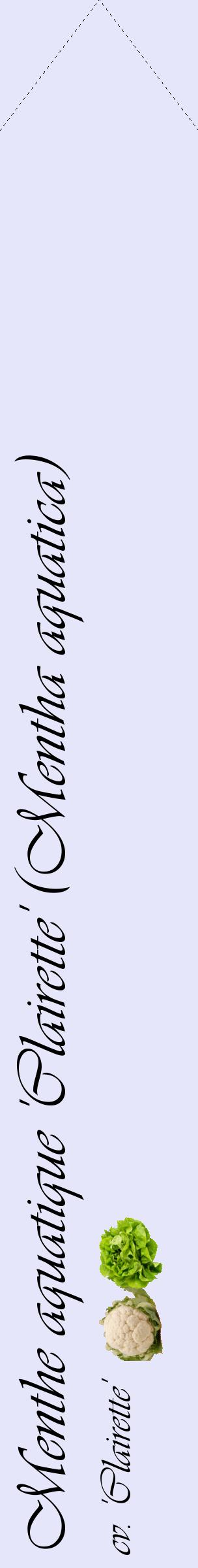 Étiquette de : Mentha aquatica cv. 'Clairette' - format c - style noire55_simpleviv avec comestibilité simplifiée