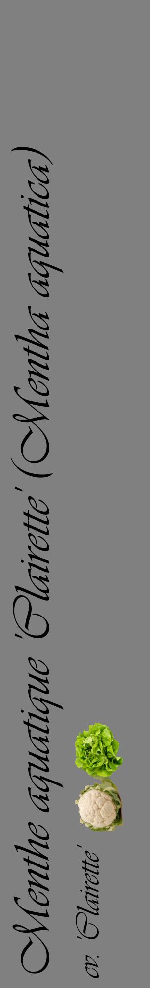 Étiquette de : Mentha aquatica cv. 'Clairette' - format c - style noire57_basiqueviv avec comestibilité simplifiée