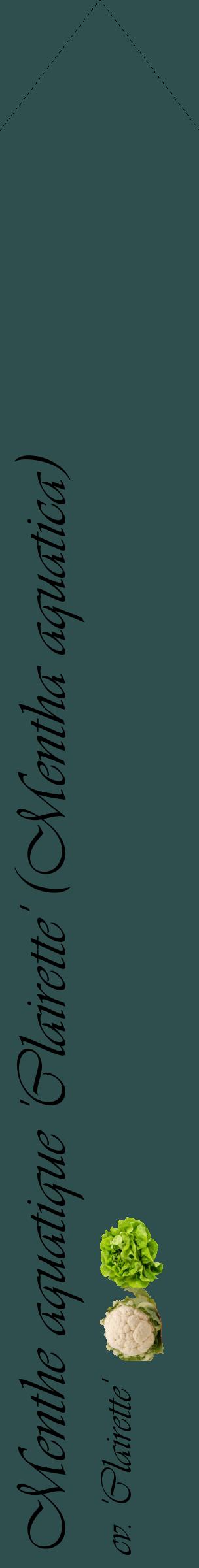 Étiquette de : Mentha aquatica cv. 'Clairette' - format c - style noire58_simpleviv avec comestibilité simplifiée