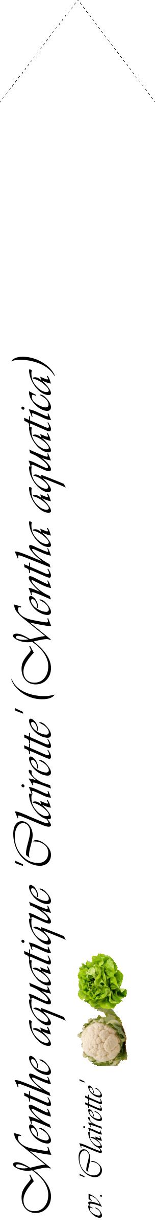 Étiquette de : Mentha aquatica cv. 'Clairette' - format c - style noire60_simpleviv avec comestibilité simplifiée