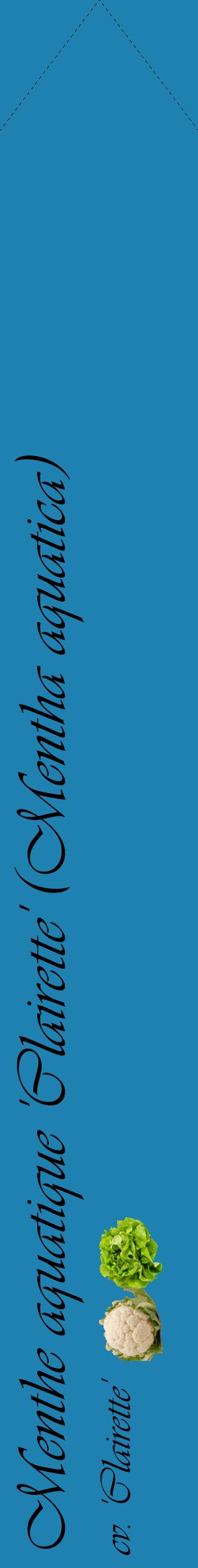 Étiquette de : Mentha aquatica cv. 'Clairette' - format c - style noire6_simpleviv avec comestibilité simplifiée