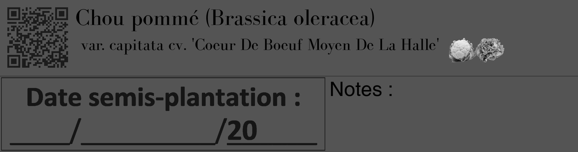 Étiquette de : Brassica oleracea var. capitata cv. 'Coeur De Boeuf Moyen De La Halle' - format c - style noire30_basique_basiquebod avec qrcode et comestibilité simplifiée