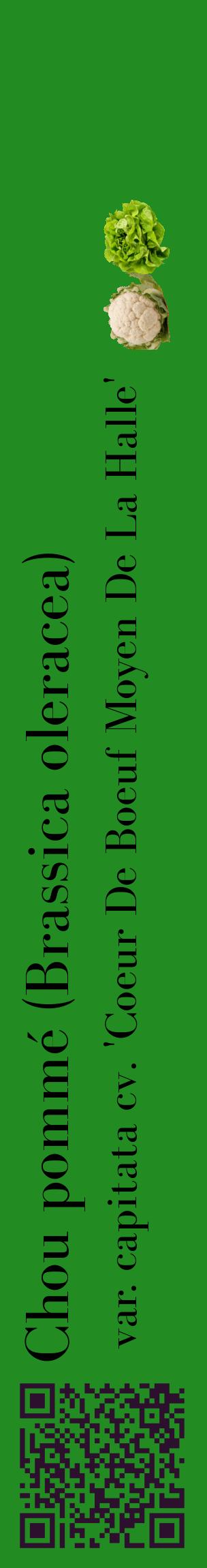 Étiquette de : Brassica oleracea var. capitata cv. 'Coeur De Boeuf Moyen De La Halle' - format c - style noire10_basiquebod avec qrcode et comestibilité simplifiée