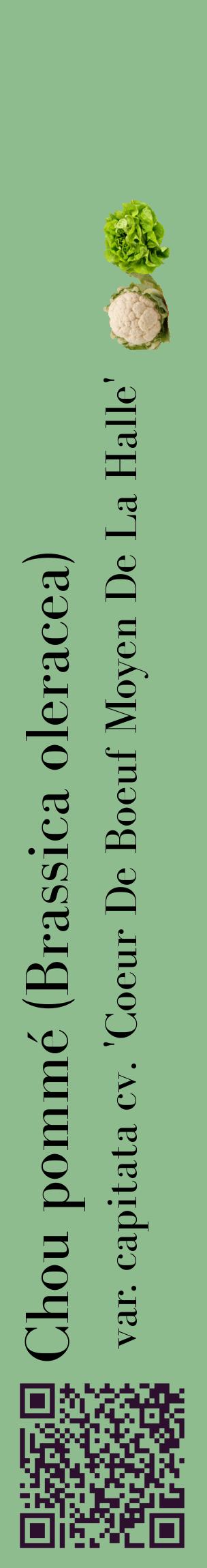 Étiquette de : Brassica oleracea var. capitata cv. 'Coeur De Boeuf Moyen De La Halle' - format c - style noire13_basiquebod avec qrcode et comestibilité simplifiée