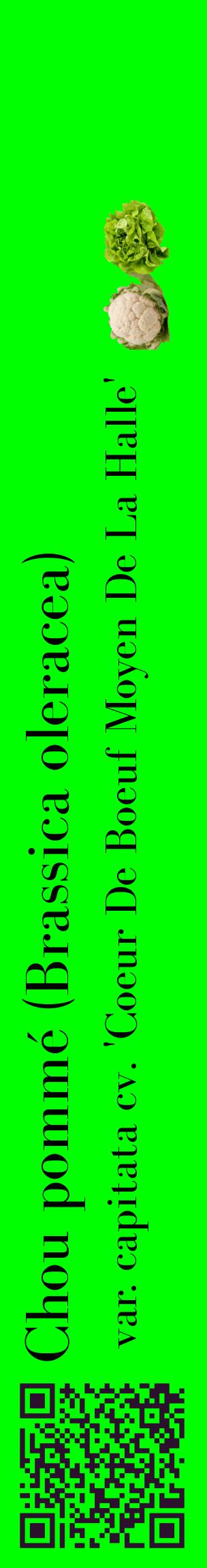 Étiquette de : Brassica oleracea var. capitata cv. 'Coeur De Boeuf Moyen De La Halle' - format c - style noire16_basiquebod avec qrcode et comestibilité simplifiée