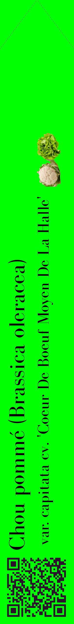 Étiquette de : Brassica oleracea var. capitata cv. 'Coeur De Boeuf Moyen De La Halle' - format c - style noire16_simplebod avec qrcode et comestibilité simplifiée