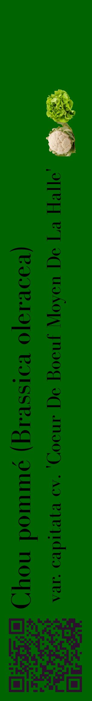 Étiquette de : Brassica oleracea var. capitata cv. 'Coeur De Boeuf Moyen De La Halle' - format c - style noire8_basiquebod avec qrcode et comestibilité simplifiée