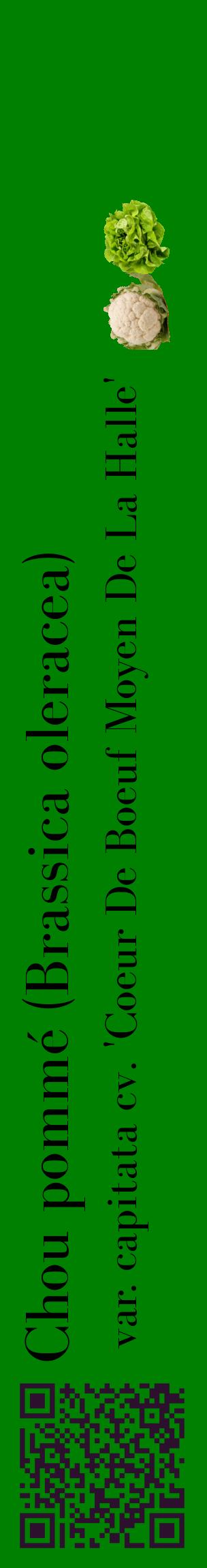 Étiquette de : Brassica oleracea var. capitata cv. 'Coeur De Boeuf Moyen De La Halle' - format c - style noire9_basiquebod avec qrcode et comestibilité simplifiée