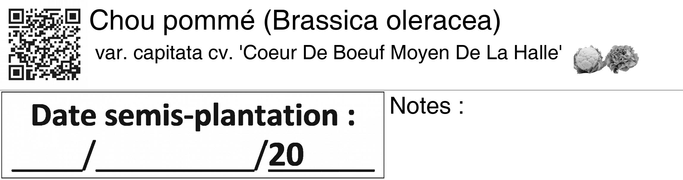 Étiquette de : Brassica oleracea var. capitata cv. 'Coeur De Boeuf Moyen De La Halle' - format c - style noire60_basiquegrrvhel avec qrcode et comestibilité simplifiée