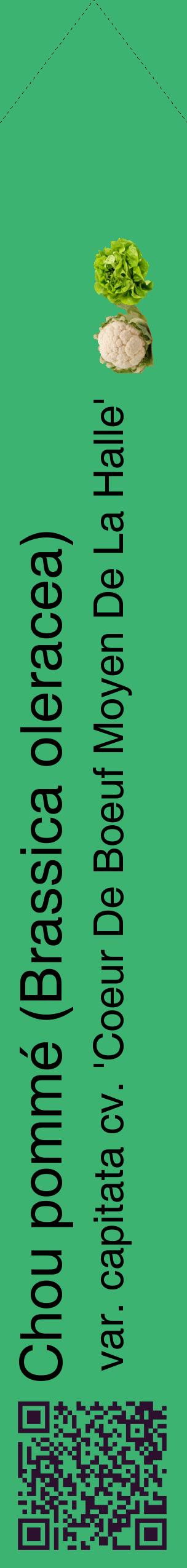 Étiquette de : Brassica oleracea var. capitata cv. 'Coeur De Boeuf Moyen De La Halle' - format c - style noire12_simplehel avec qrcode et comestibilité simplifiée