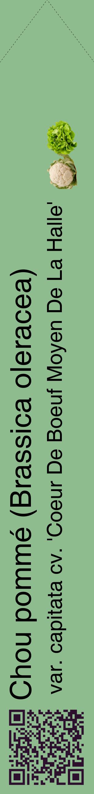 Étiquette de : Brassica oleracea var. capitata cv. 'Coeur De Boeuf Moyen De La Halle' - format c - style noire13_simplehel avec qrcode et comestibilité simplifiée