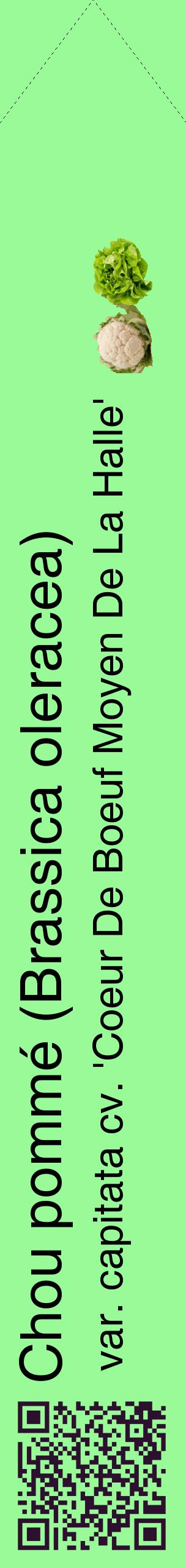 Étiquette de : Brassica oleracea var. capitata cv. 'Coeur De Boeuf Moyen De La Halle' - format c - style noire14_simplehel avec qrcode et comestibilité simplifiée