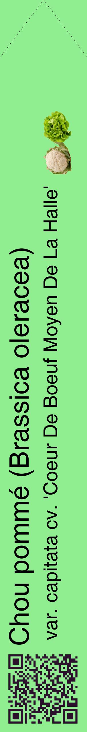 Étiquette de : Brassica oleracea var. capitata cv. 'Coeur De Boeuf Moyen De La Halle' - format c - style noire15_simplehel avec qrcode et comestibilité simplifiée