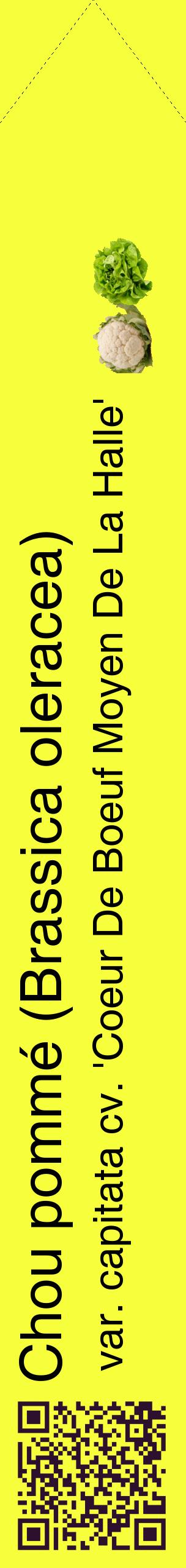 Étiquette de : Brassica oleracea var. capitata cv. 'Coeur De Boeuf Moyen De La Halle' - format c - style noire18_simplehel avec qrcode et comestibilité simplifiée