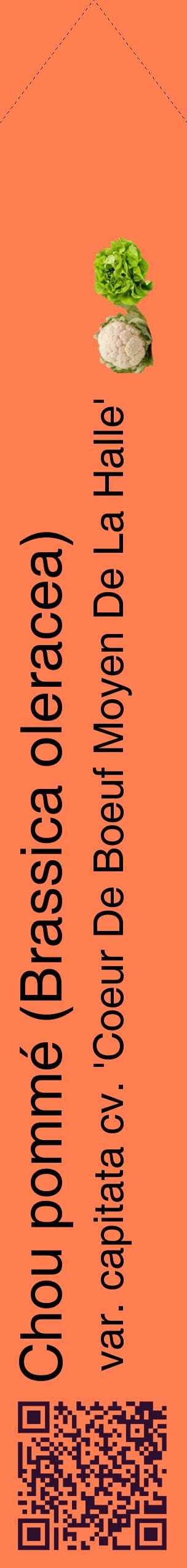 Étiquette de : Brassica oleracea var. capitata cv. 'Coeur De Boeuf Moyen De La Halle' - format c - style noire24_simplehel avec qrcode et comestibilité simplifiée