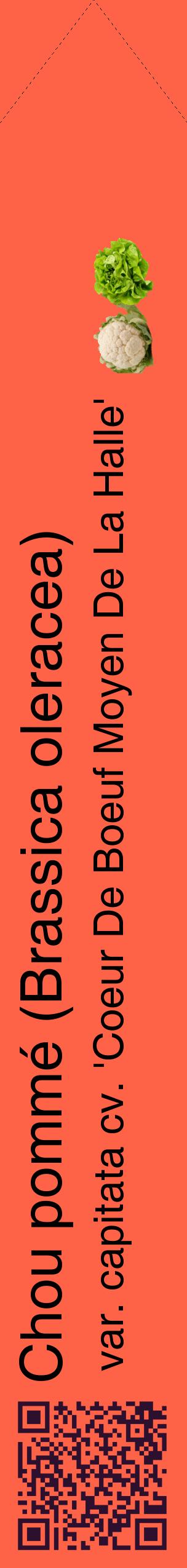 Étiquette de : Brassica oleracea var. capitata cv. 'Coeur De Boeuf Moyen De La Halle' - format c - style noire25_simplehel avec qrcode et comestibilité simplifiée