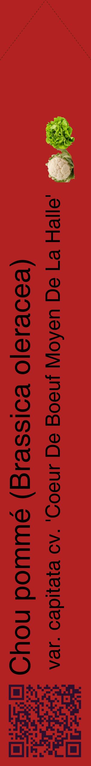 Étiquette de : Brassica oleracea var. capitata cv. 'Coeur De Boeuf Moyen De La Halle' - format c - style noire28_simplehel avec qrcode et comestibilité simplifiée