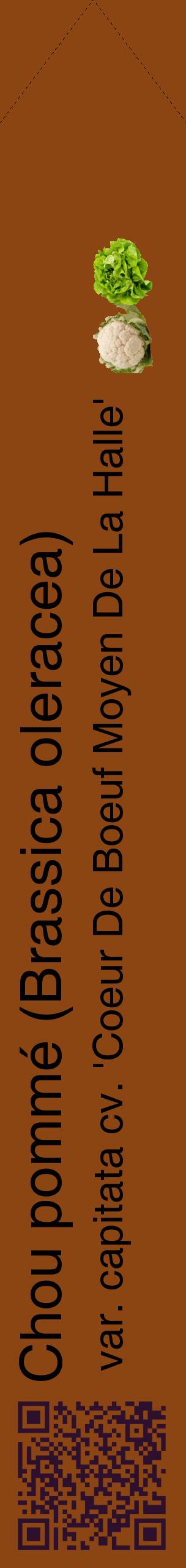 Étiquette de : Brassica oleracea var. capitata cv. 'Coeur De Boeuf Moyen De La Halle' - format c - style noire30_simplehel avec qrcode et comestibilité simplifiée