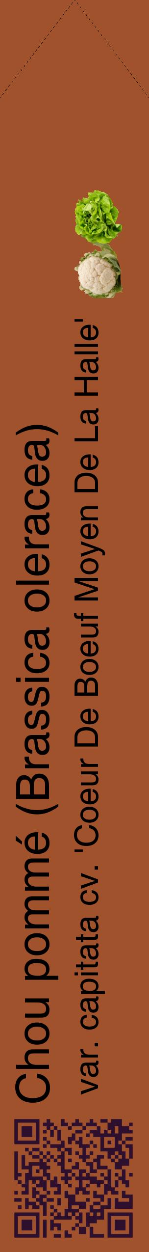 Étiquette de : Brassica oleracea var. capitata cv. 'Coeur De Boeuf Moyen De La Halle' - format c - style noire32_simplehel avec qrcode et comestibilité simplifiée