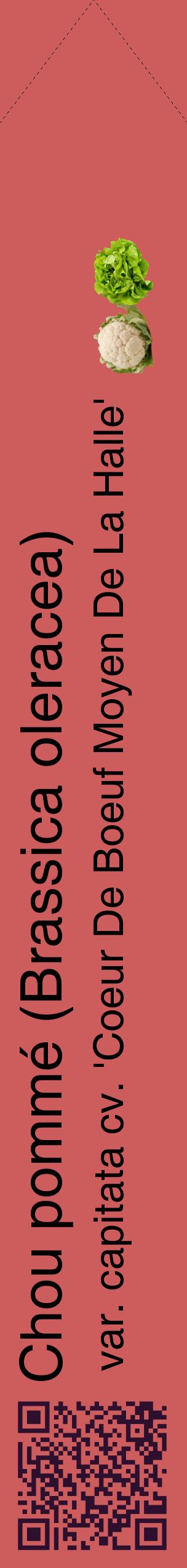 Étiquette de : Brassica oleracea var. capitata cv. 'Coeur De Boeuf Moyen De La Halle' - format c - style noire35_simplehel avec qrcode et comestibilité simplifiée