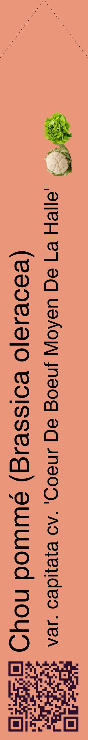 Étiquette de : Brassica oleracea var. capitata cv. 'Coeur De Boeuf Moyen De La Halle' - format c - style noire37_simplehel avec qrcode et comestibilité simplifiée